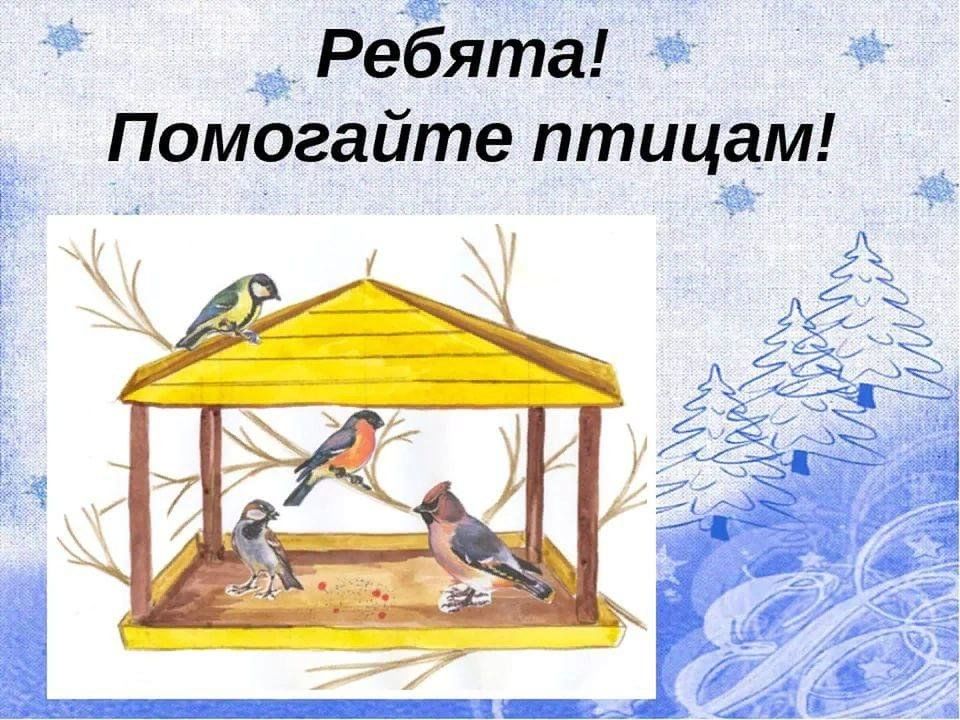 Как помочь птицам зимой проект