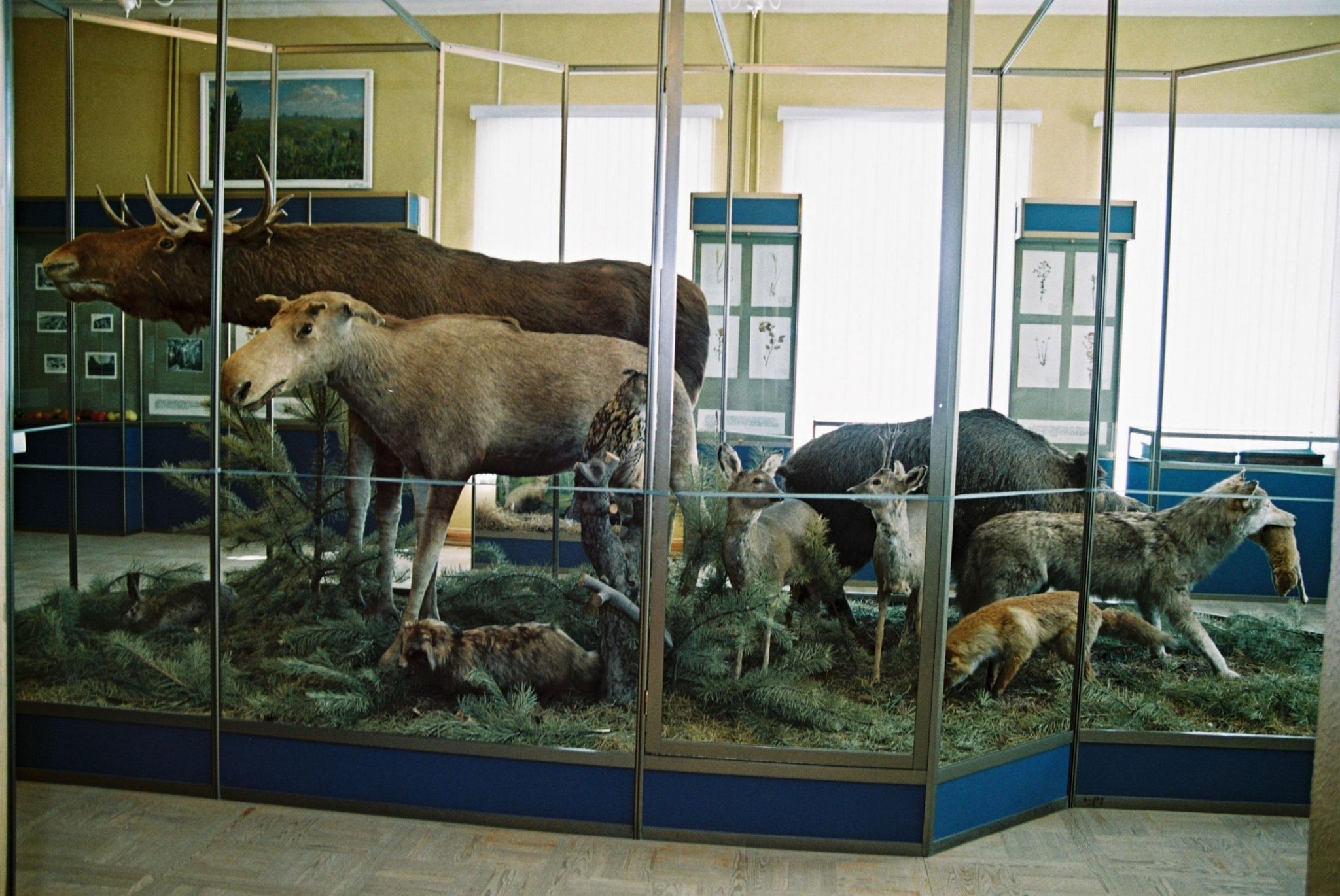 старый оскол музеи