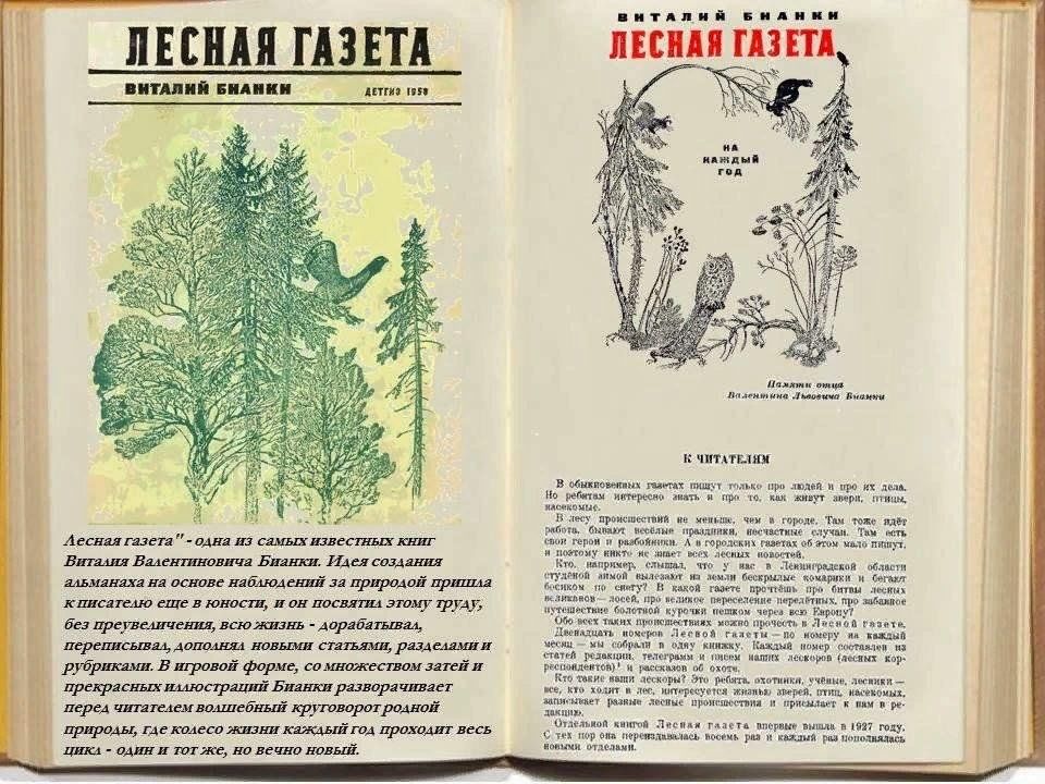 Лесная газета фото