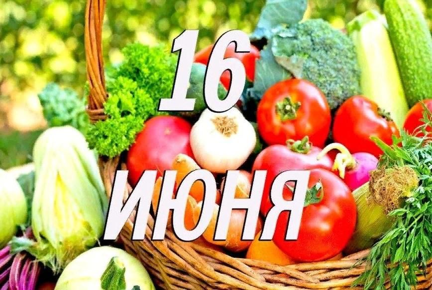 14 дней на овощах. День свежих овощей. День поедания овощей.