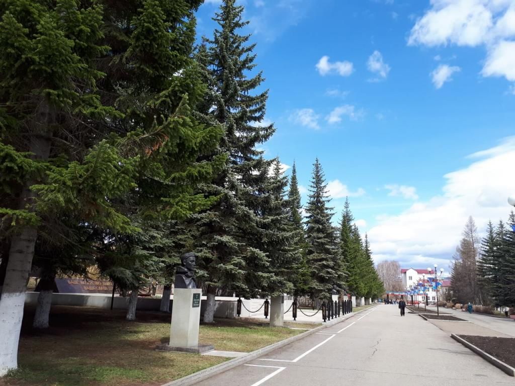 Фото аллея славы в могойтой Библиотека с. Сосновка 2020, Белорецкий район - дата и место проведения, програм