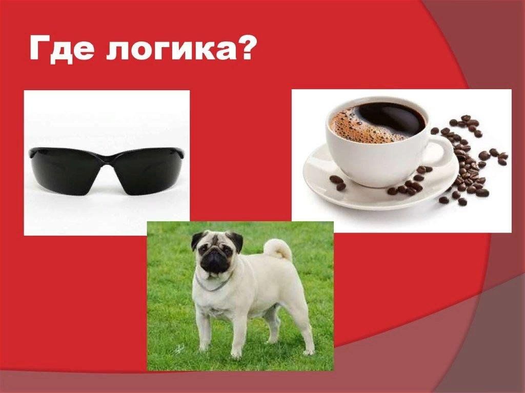 Где логика примеры заданий Интеллектуальная игра "Где логика?" 2023, Омутнинский район - дата и место прове