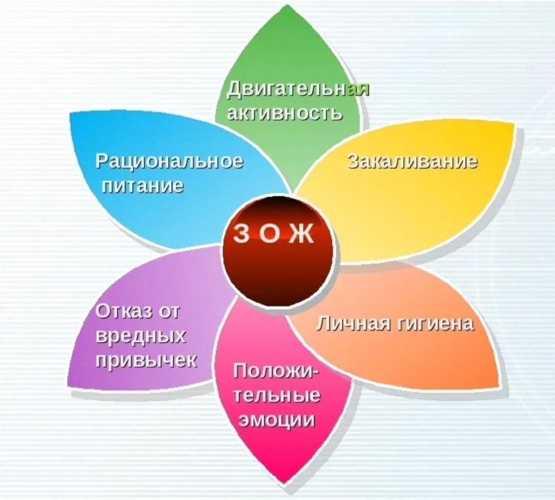 Здоровый образ жизни