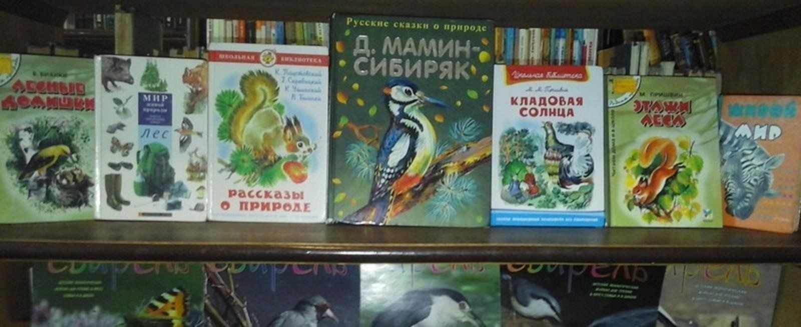 Книги про животных окружающий мир. Пернатые друзья выставка в библиотеке. Наши пернатые друзья выставка в библиотеке. Пернатые друзья книга. Синичкин день выставка в библиотеке.