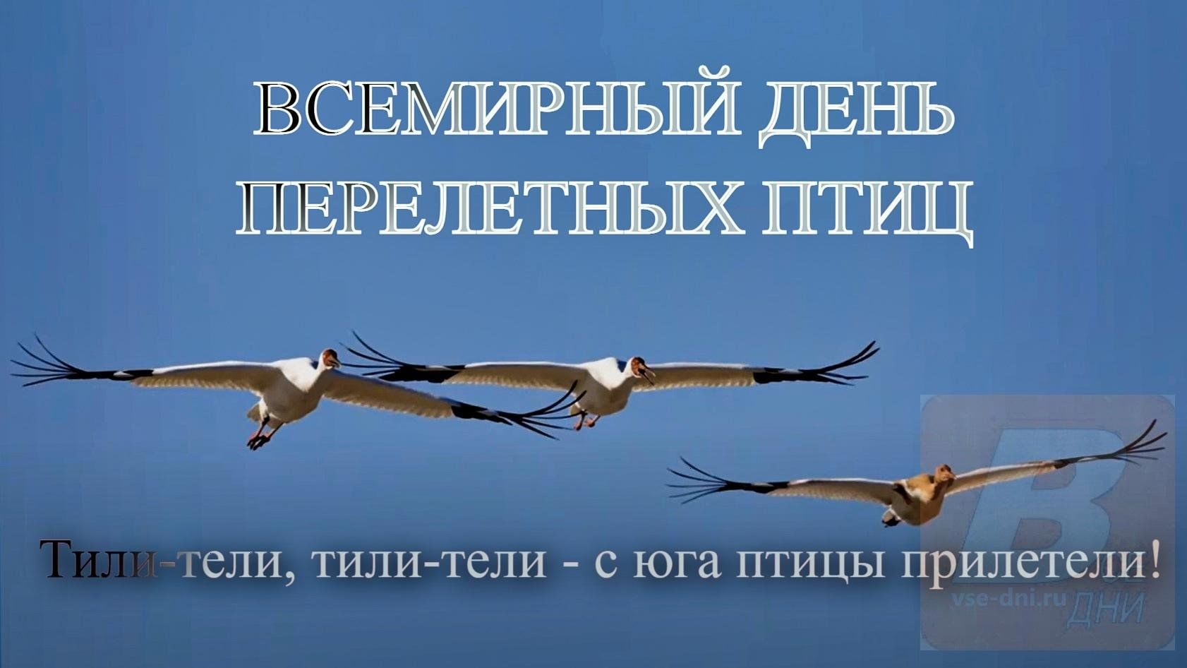 День перелетных птиц» 2024, Алексеевский район — дата и место проведения,  программа мероприятия.