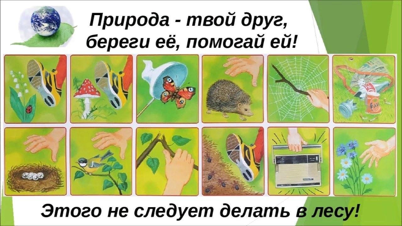 Как сделать проект про природу Эко час: "Будь другом всему живому" 2023, Алексеевский район - дата и место пров