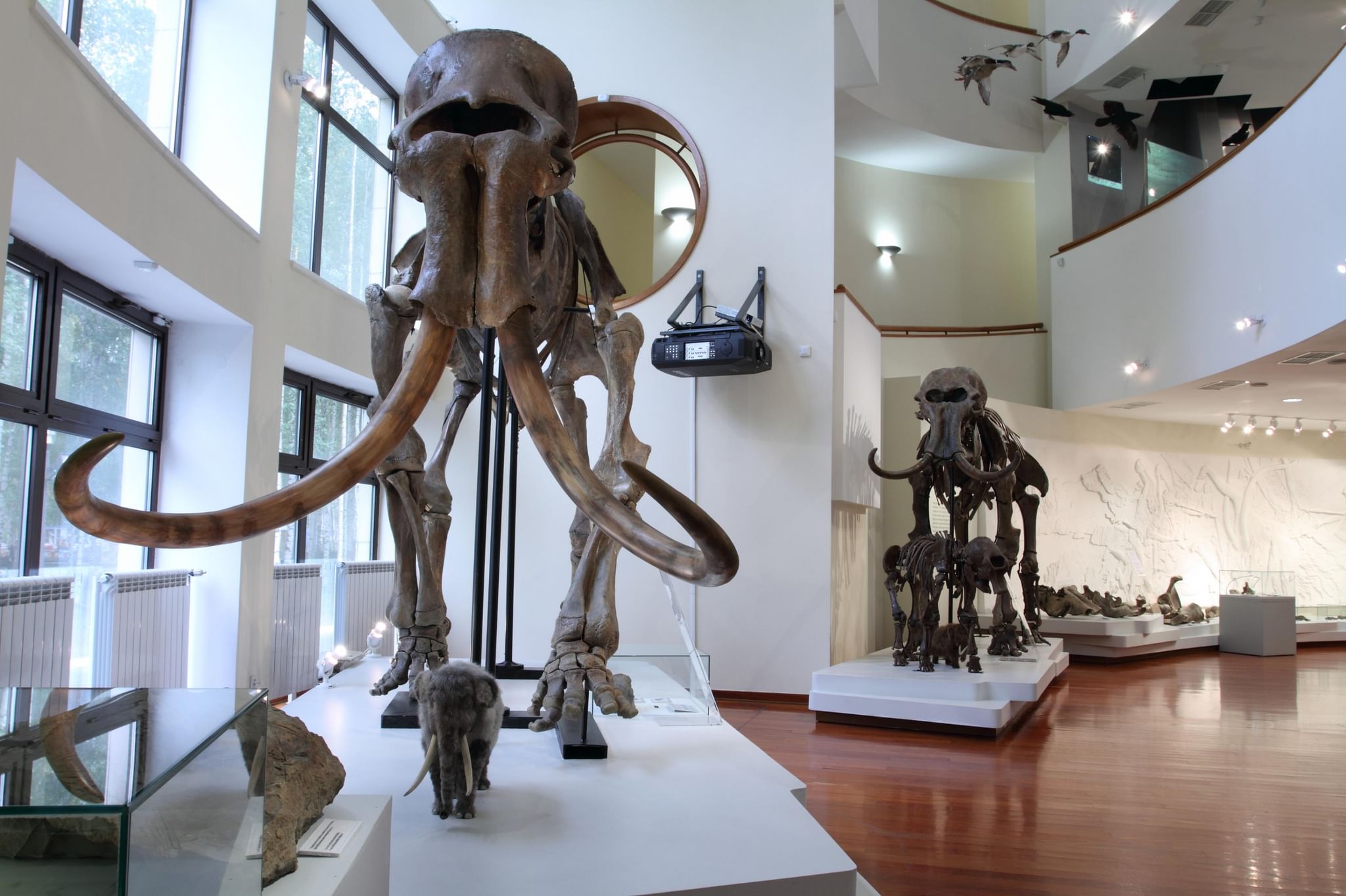 Что такое музей хмао