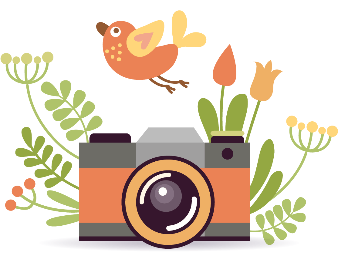 Атрибуты фотографа картинки для детей