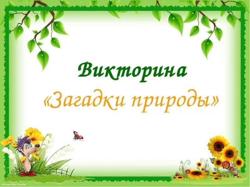 Полна загадок. Викторина загадки природы. Загадки для викторины. Экологическая викторина загадки природы. Викторина Живая природа.