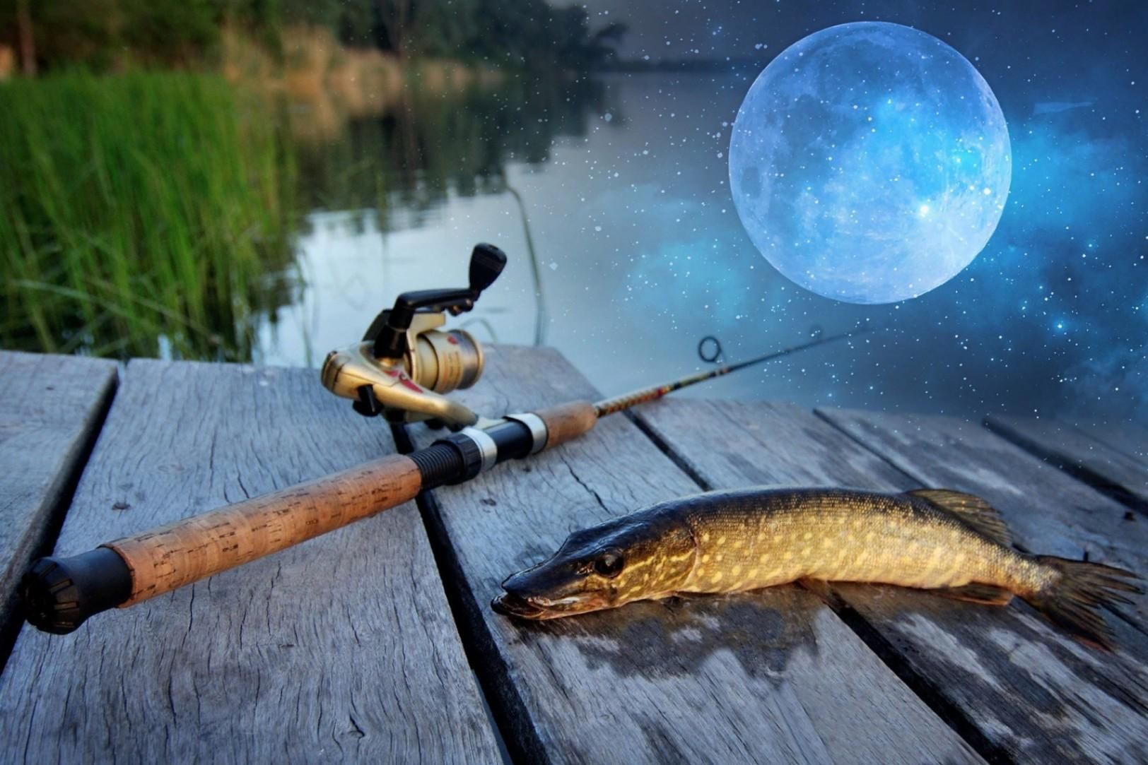 рыбалка на красивом озере