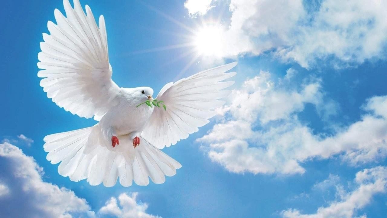 Мирного неба картинки с надписями