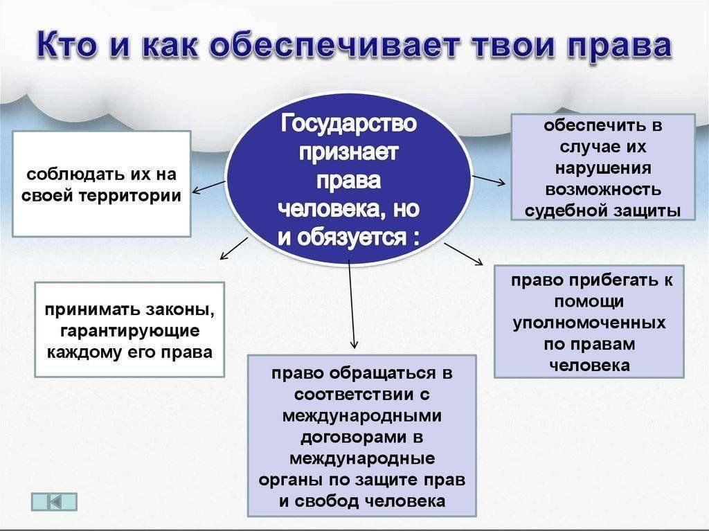 Проект по теме права человека