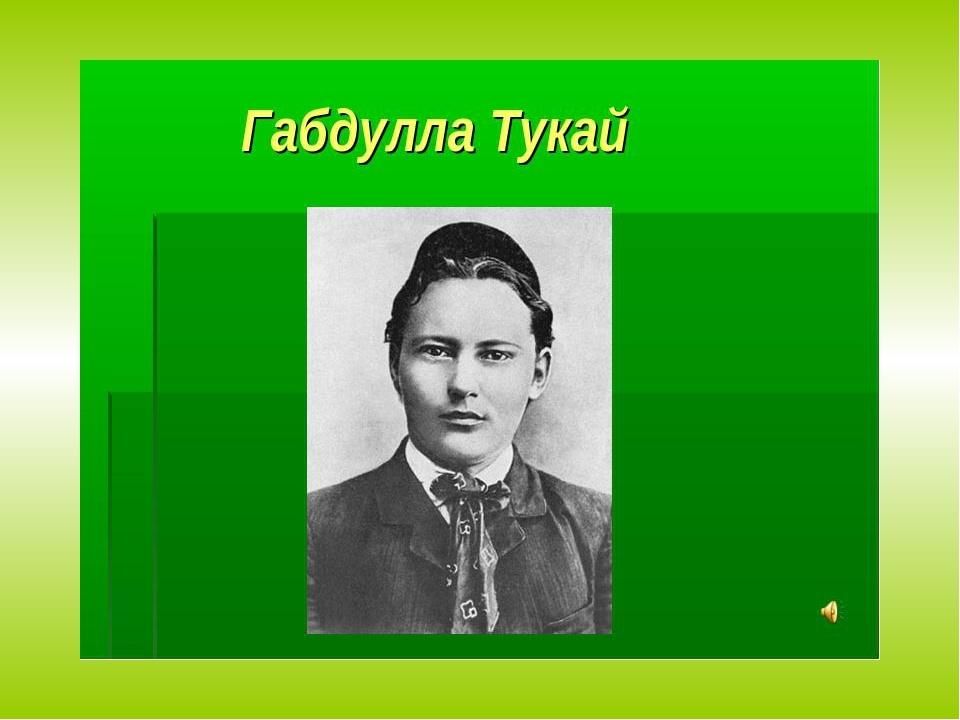 Габдулла тукай проект эше