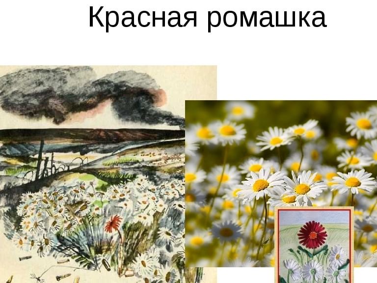 Презентация муса джалиль красная ромашка