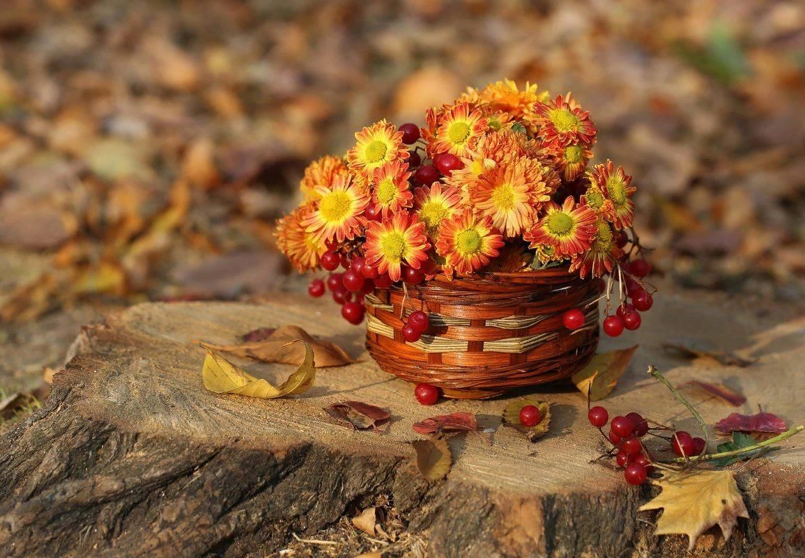 Осенние цветы природа. Осенний полевой букет. Красивые осенние букеты цветов. Осенние цвета. Осенний букетик.