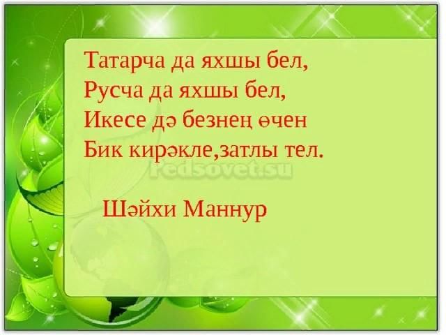 Проект на татарском языке для учеников