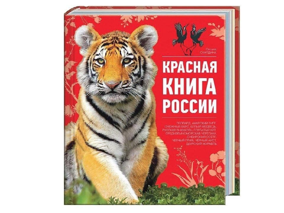 Животные красной книги россии картинки для детей