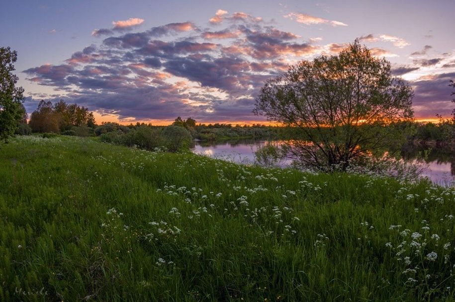 Прекрасное село. Красота русской природы. Июньский пейзаж. Российский пейзаж. Российские пейзажи природы.