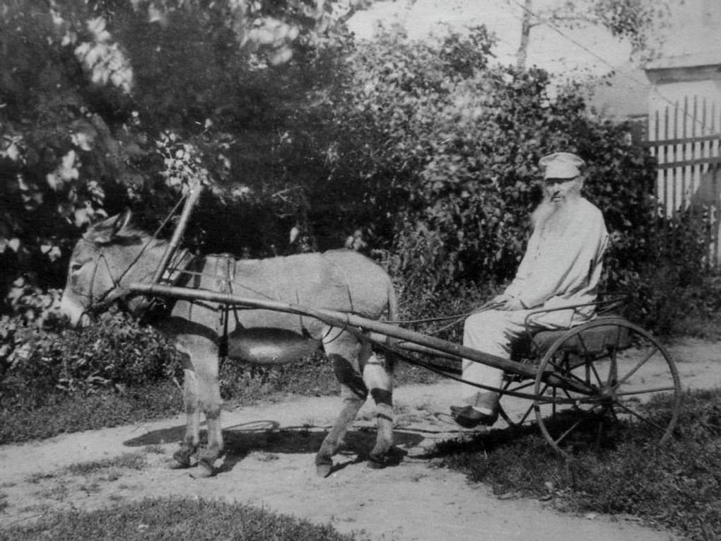 Афанасий Фет в своей усадьбе в селе Воробьевка. Курская губерния, 1891 год. Фотография: Волгодонский эколого-исторический музей, Волгодонск, Ростовская область