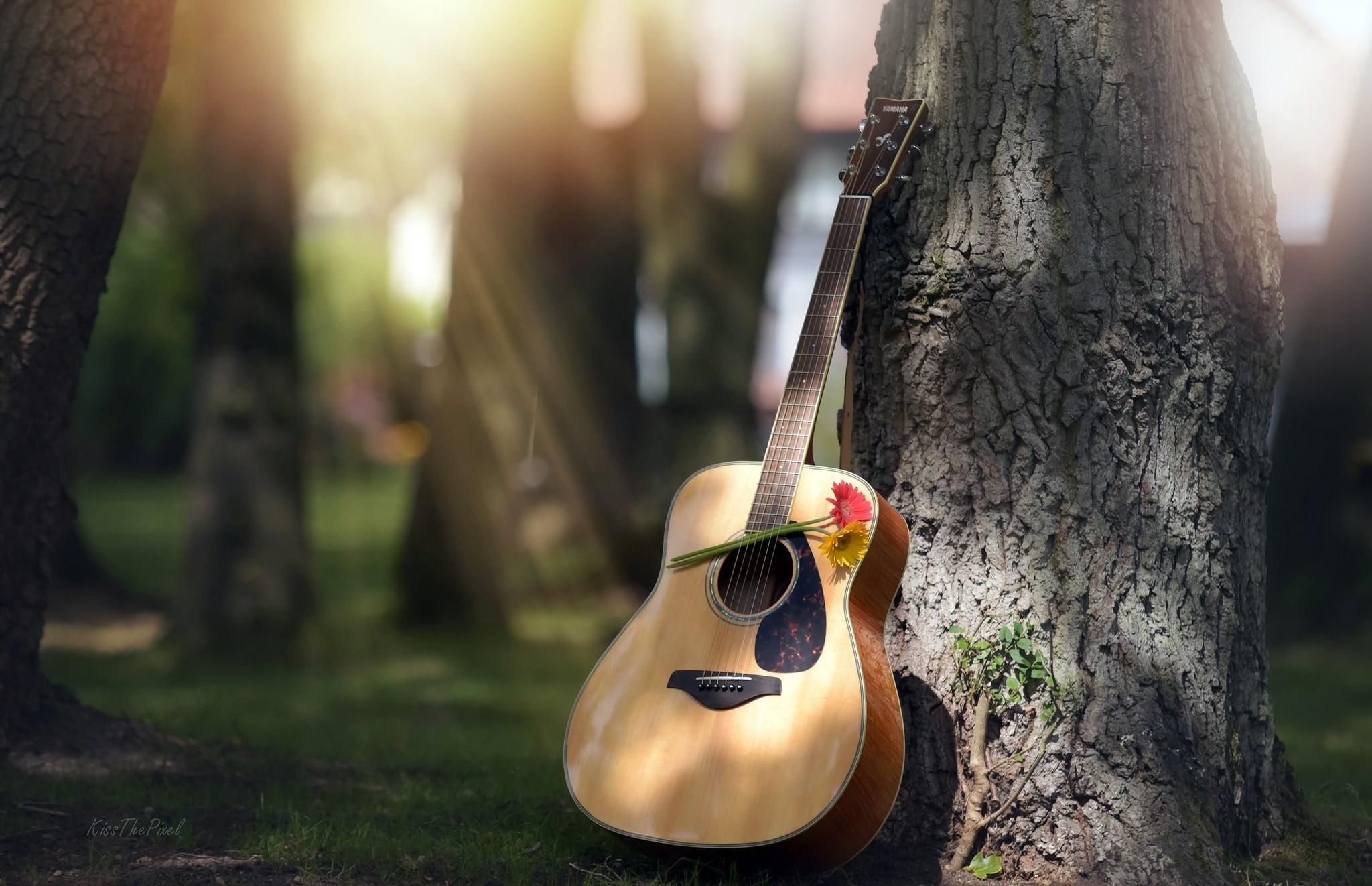 Гитара зонтик. Фотосессия с гитарой на природе. Гитара в лесу. Гитара на природе. Электрогитара на природе.