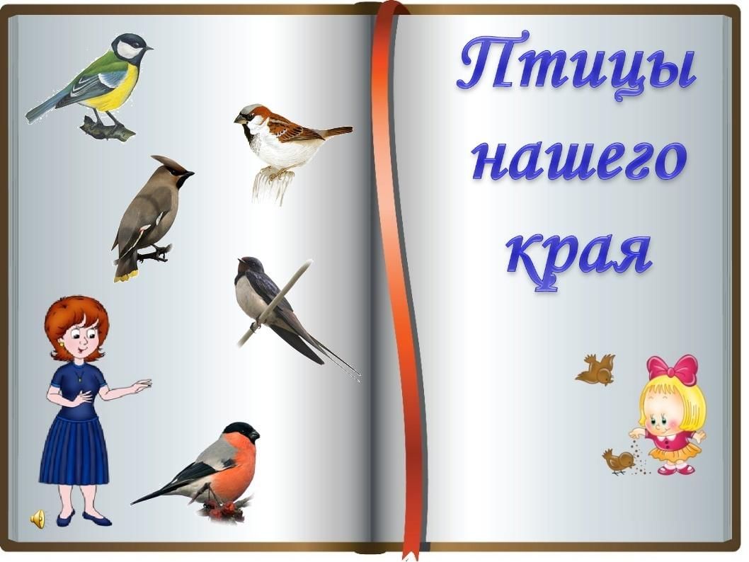 Презентация птицы для дошкольников. Птицы нашего края. Альбом птицы нашего края. Птицы нашего края для детей. Птицы нашего края презентация.