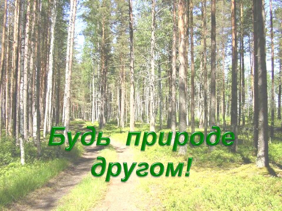 Имеют общую природу. Тема будь природе другом. Проект на тему будь другом природе. Проект в содружестве с природой. В содружестве с природой окружающий мир.