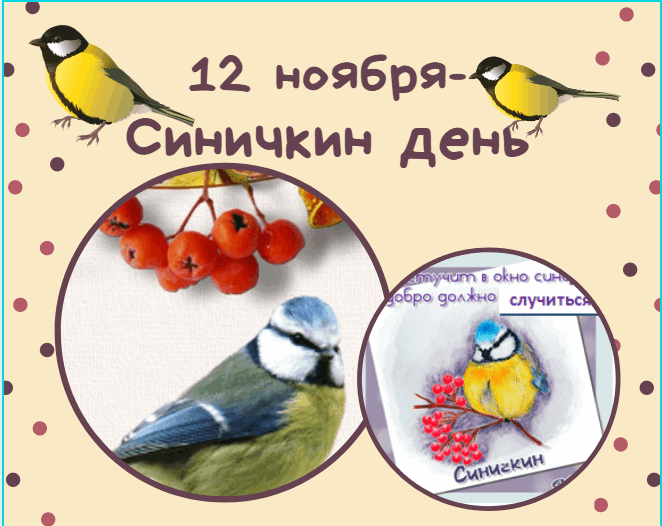Проект синичкин день в первой младшей группе