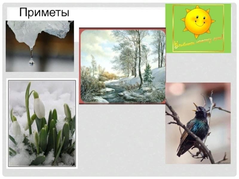 Приметы весны картинки
