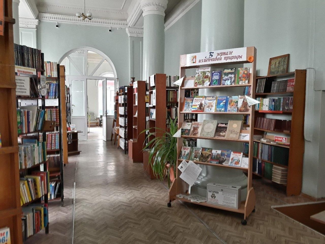 Библиотека советская ул 20 новосибирск фото