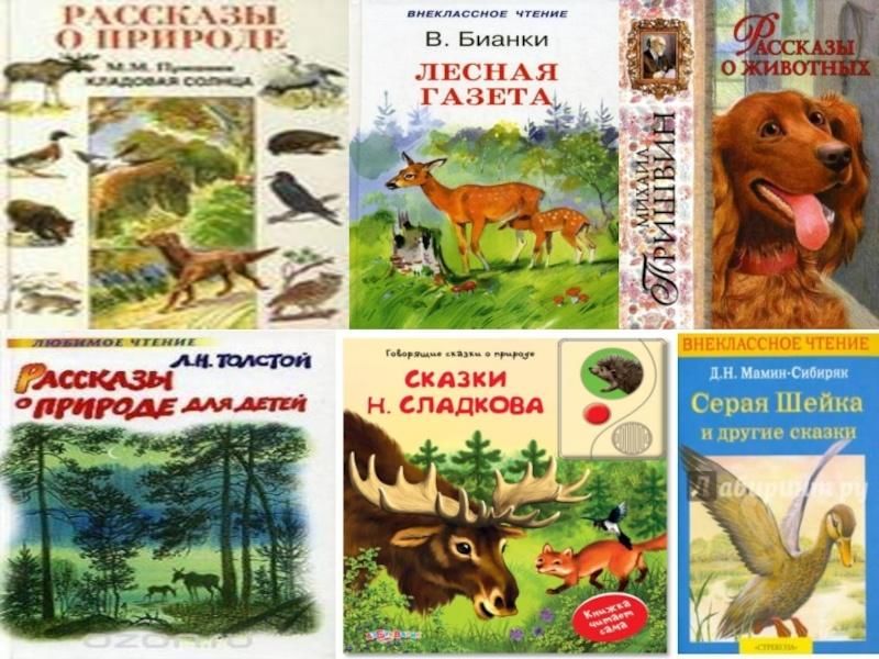 Проект книга о животных