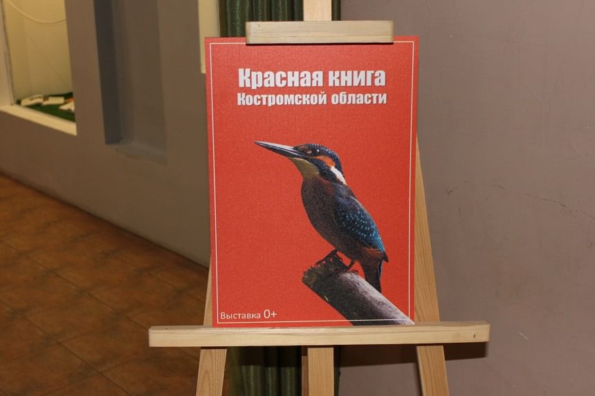 Красная книга костромской области животные и растения презентация