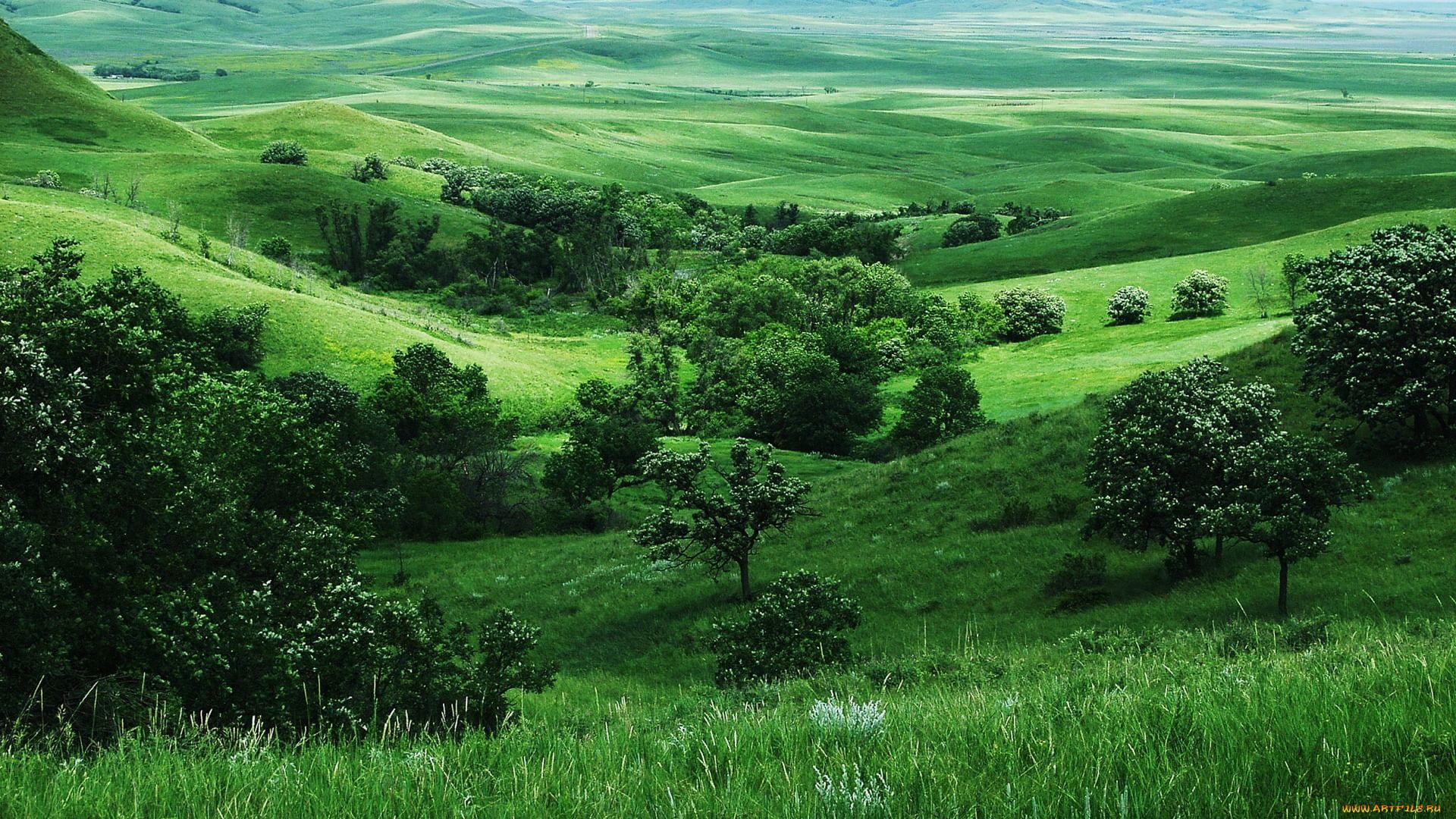 Природный ландшафт фото