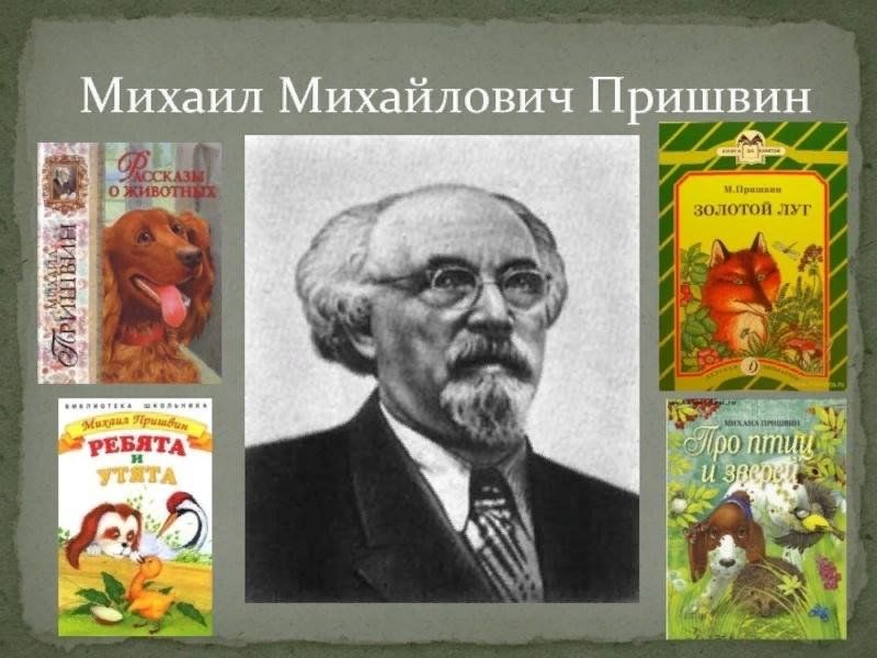 Дневники пришвина. Ёж — пришвин м.м.. Пришвин Жулька. Маршак пришвин. Михаил пришвин красные шишки.