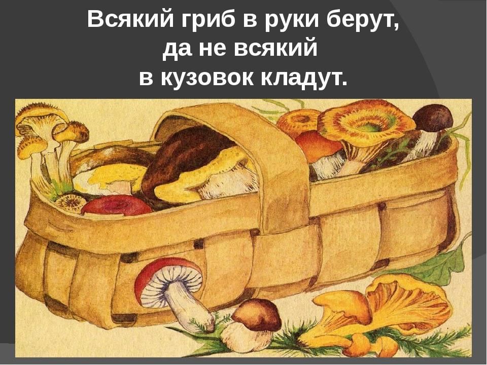 Пословица про кузовок. Игра кузовок. Всякий гриб в руки берут да не всякий в кузов кладут иллюстрация. Иллюстрации «не всякий гриб в кузовок кладут». Кузовок с пирожками рисунок.