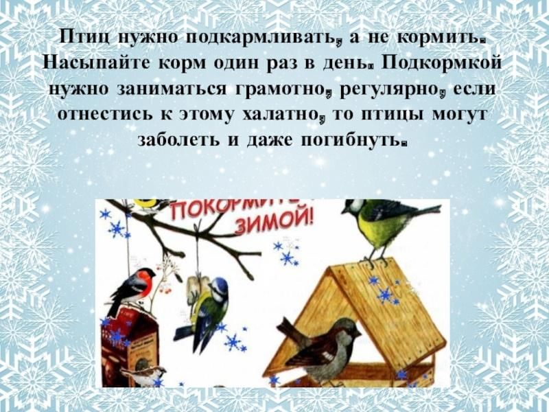 Егор повесил на дерево кормушку для птиц на диаграмме показано сколько воробьев и синиц прилетало