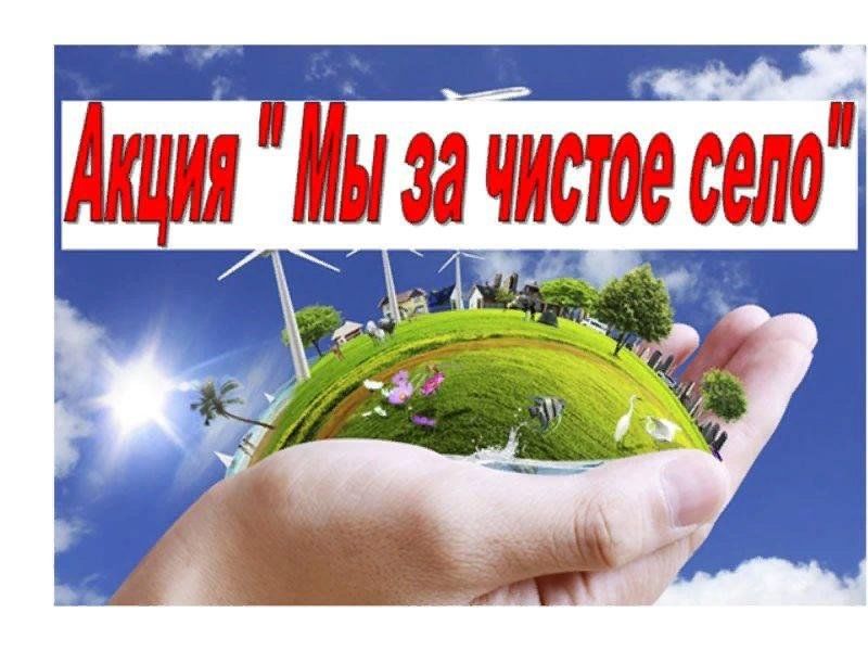 Picture background