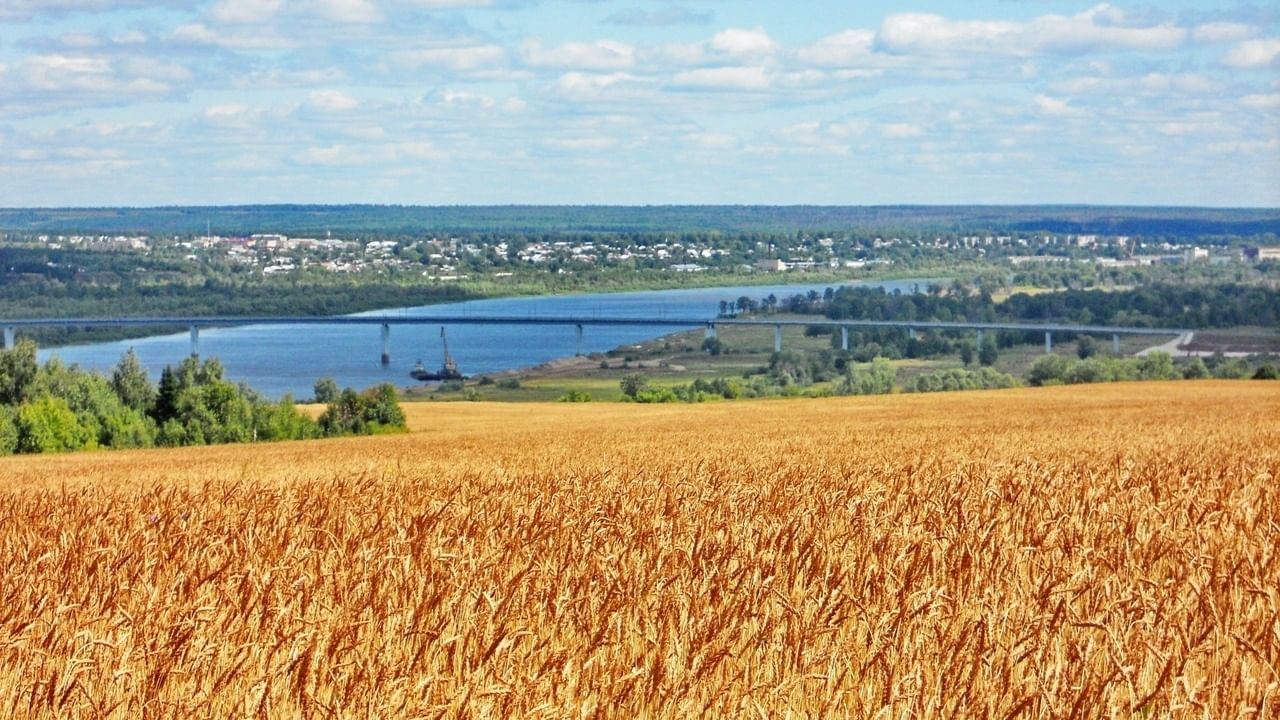 Карта вятско полянского района