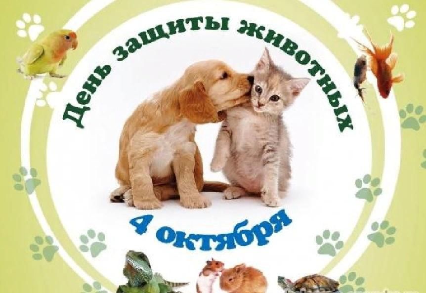 Картинки всемирный день животных Пернатые, хвостатые" 2021, Сергиевский район - дата и место проведения, программ