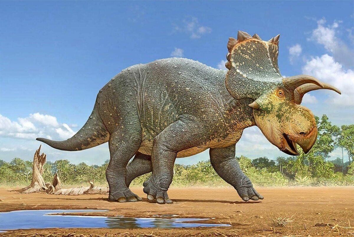 Травоядные динозавры Трицератопс. Трицератопс Эра. Трицератопс и рекс. Познавательный про динозавров