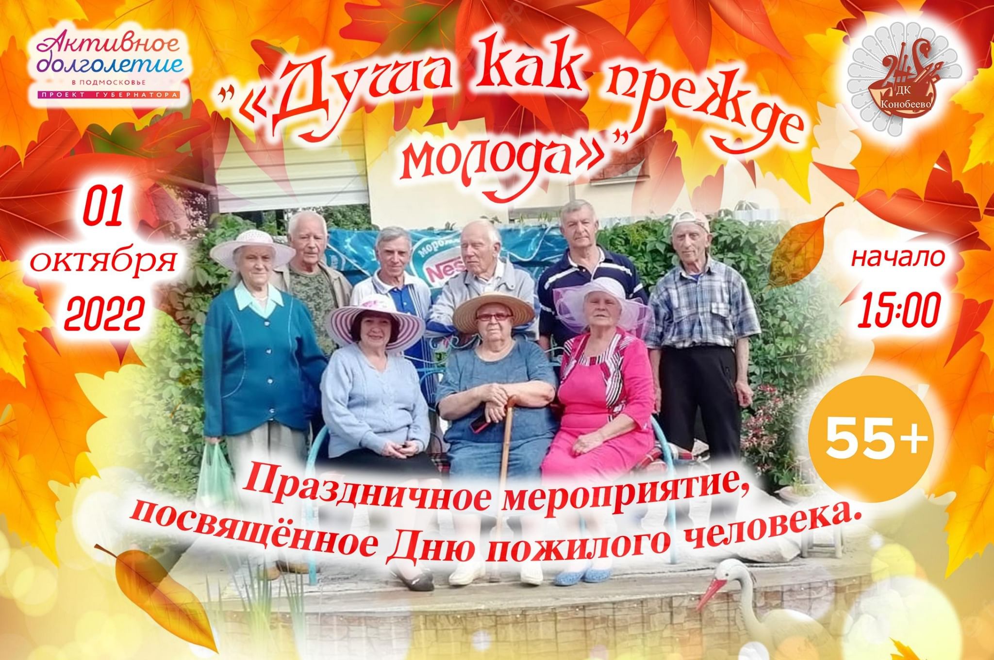 Мероприятия для пожилых людей в домах культуры