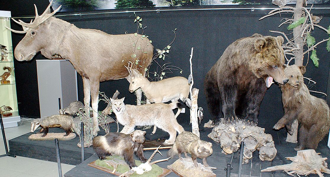 Омский государственный краеведческий музей