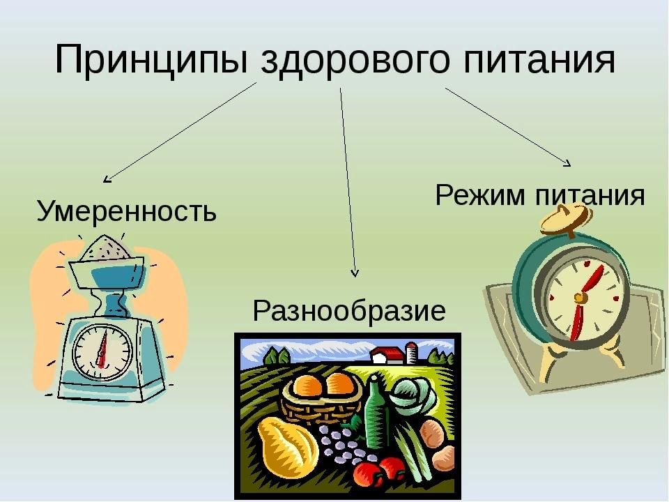 Схематическое изображение принципов здорового питания человека это