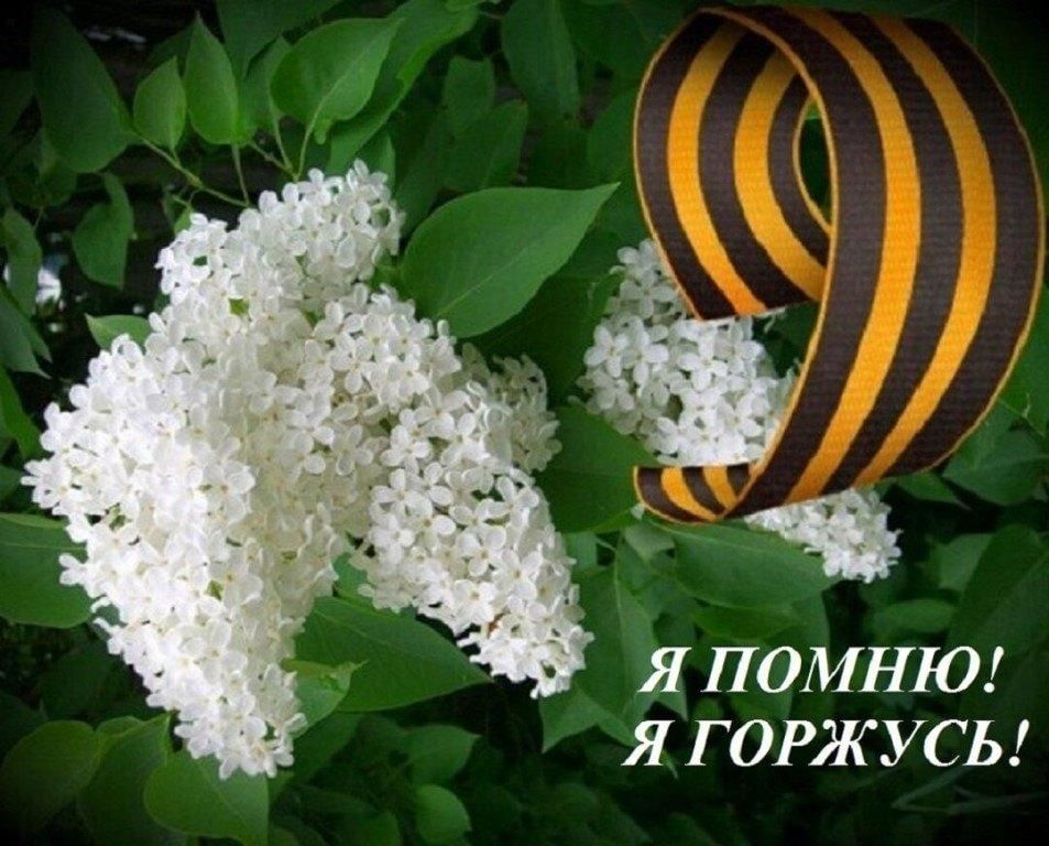 Сирень и георгиевская ленточка картинки