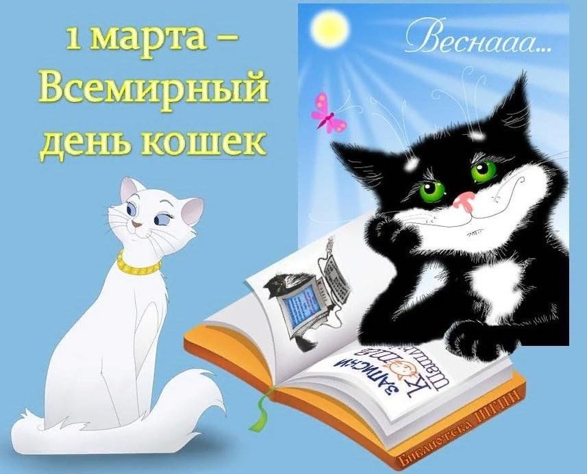 День кошек 1 марта