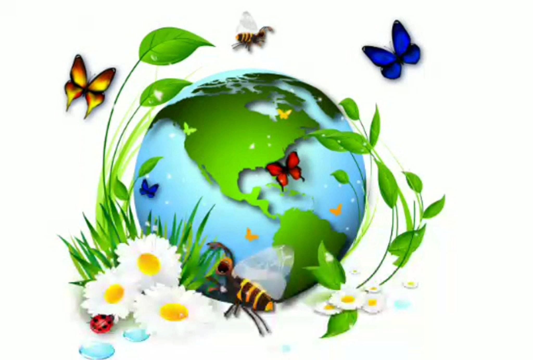Экология для детей начальной школы
