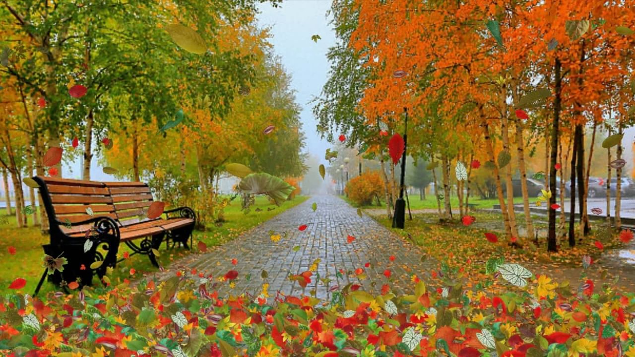 Осень наступила фото