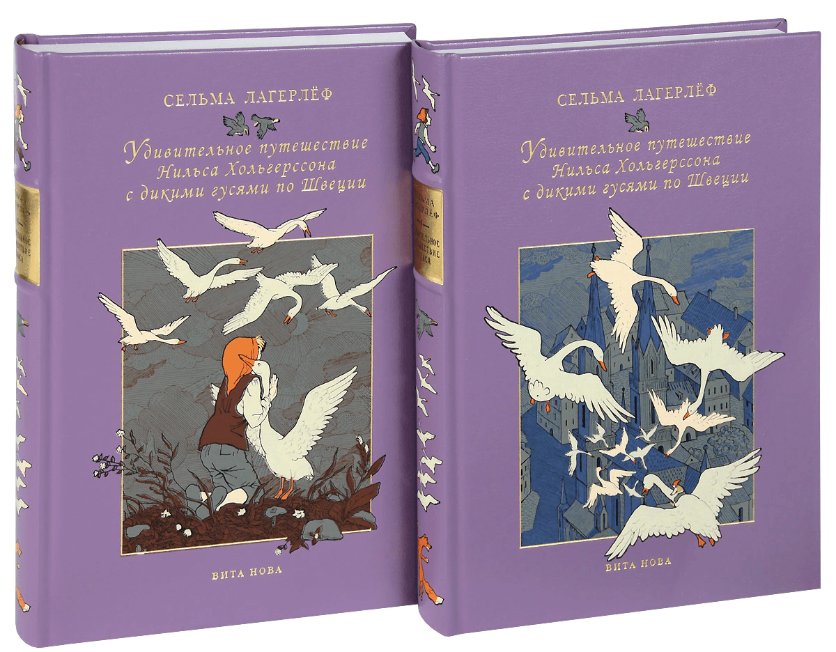 Чудесное приключение. Сельма Лагерлеф удивительное путешествие Нильса Хольгерссона. Сельма Лагерлеф чудесное путешествие Нильса Хольгерссона по Швеции. Удивительное путешествие Нильса Хольгерссона по Швеции книга. Сельма Лагерлеф удивительное путешествие Нильса с дикими гусями.