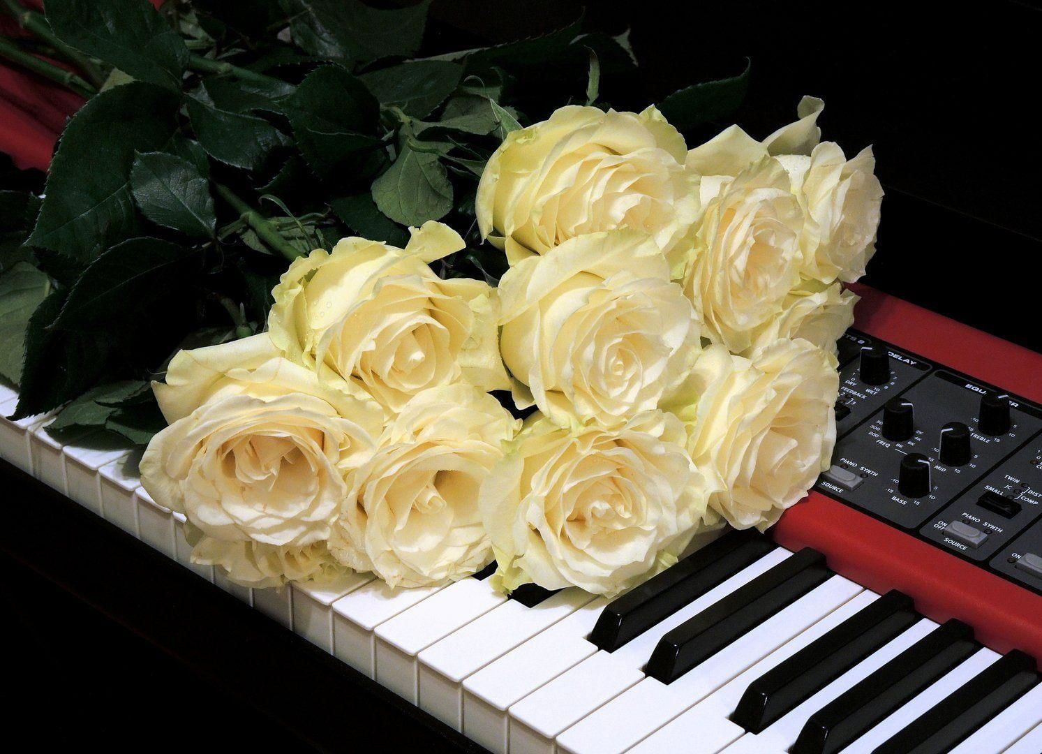 Песня с днем рождения мир. Фортепиано с цветами. День музыки. Международный день музыки. Поздравляем музыкальная.