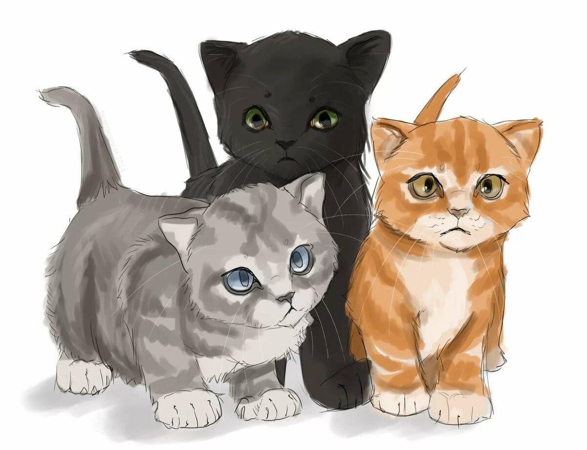 Коты Воители три котёнка