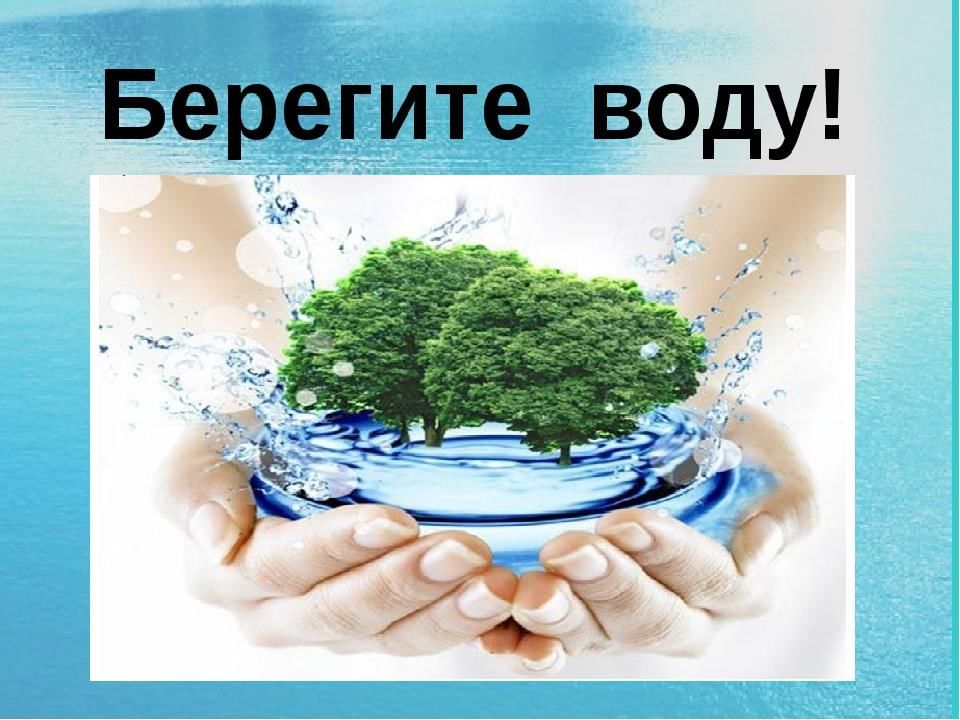 Как сохранить чистоту воды проект